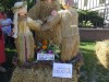 DSC07020