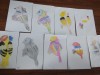 IMG_20190807_191123